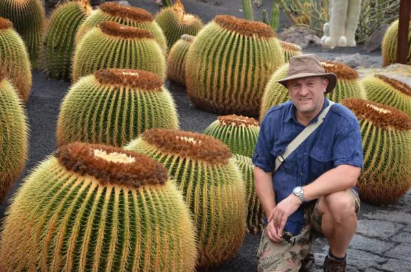 Echinocactus grusonii - Golden Barrel Cactus
