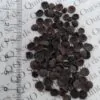 Nandina domestica - celeste bamboo, divine bamboo, sacred bamboo - Image 3