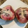 Annona reticulata - Wild Sweetsop, Custard Apple, Soursop, Bullocks Heart - Image 4